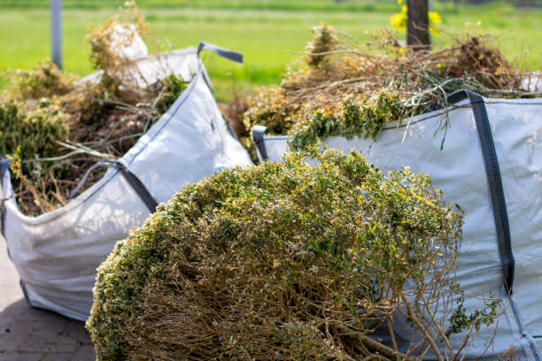 Best Attic Cleanout Services  in Bluffton, SC